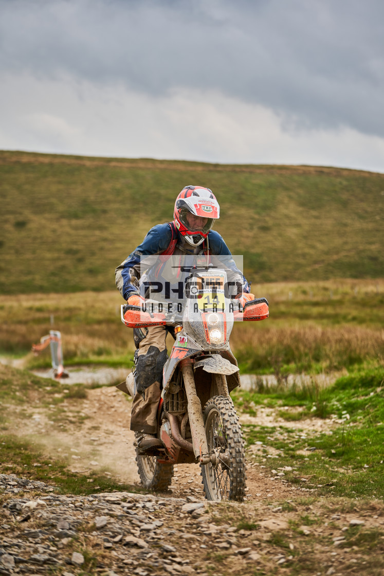 "Sweetlamb Baja rd3 sat" stock image