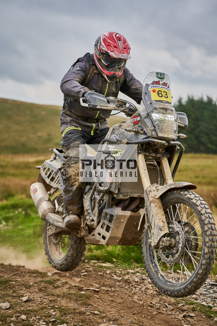 "Sweetlamb Baja rd3 sat" stock image