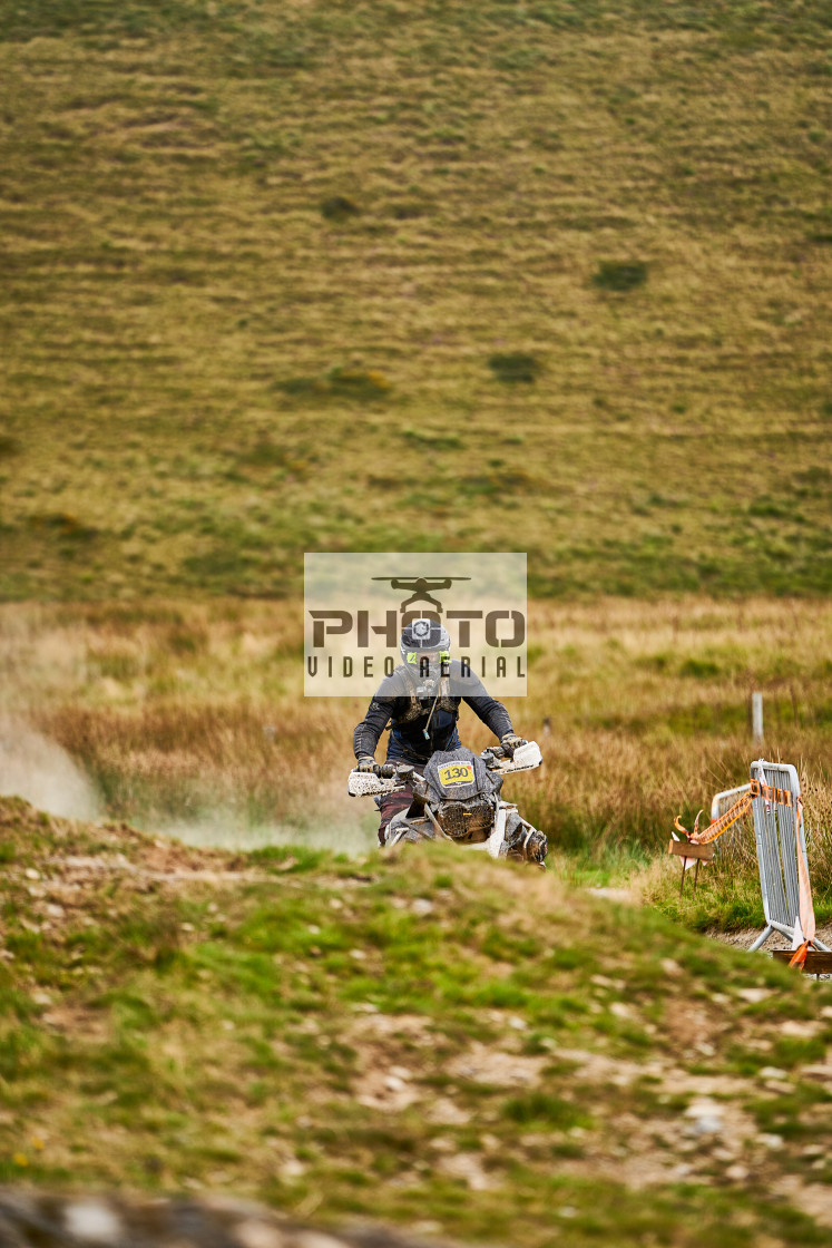 "Sweetlamb Baja rd3 sat" stock image