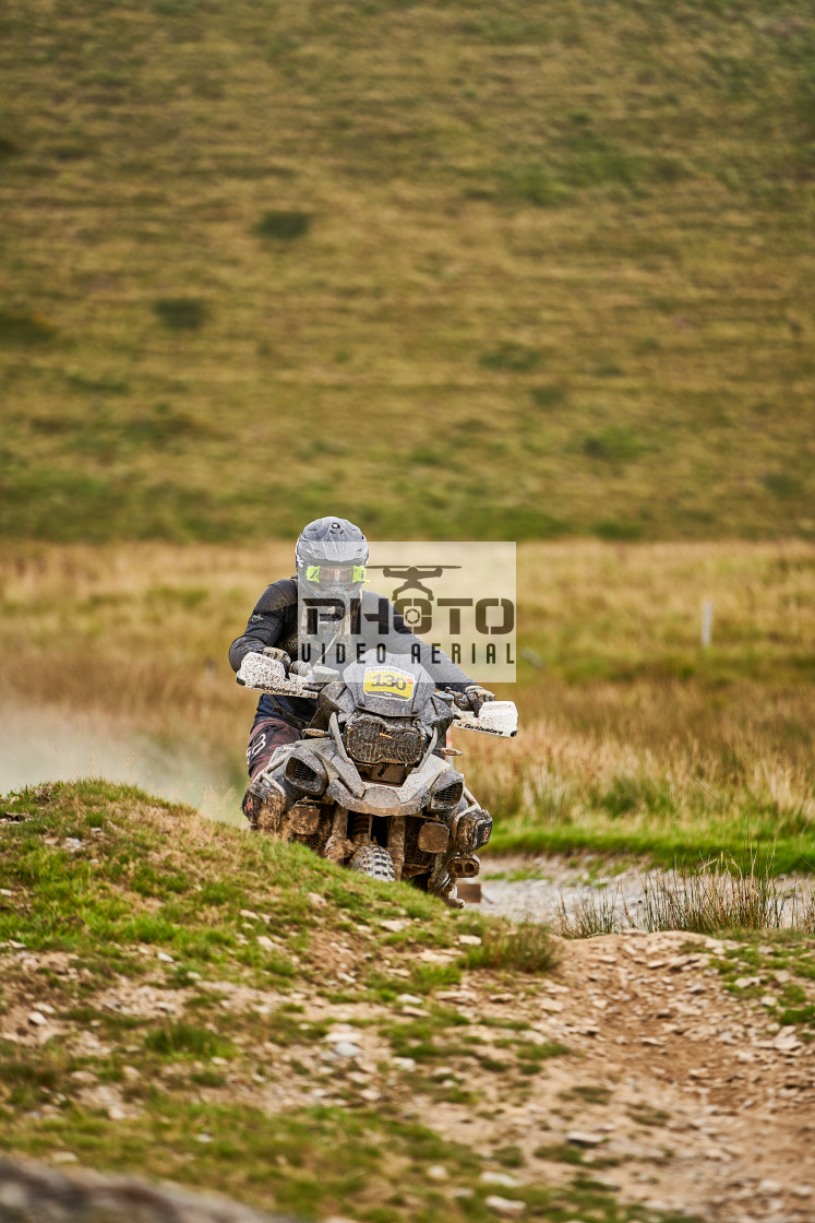 "Sweetlamb Baja rd3 sat" stock image