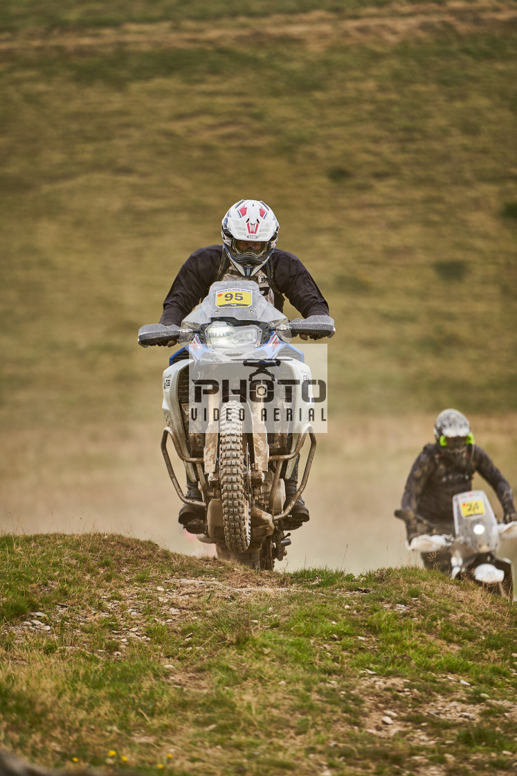 "Sweetlamb Baja rd3 sat" stock image