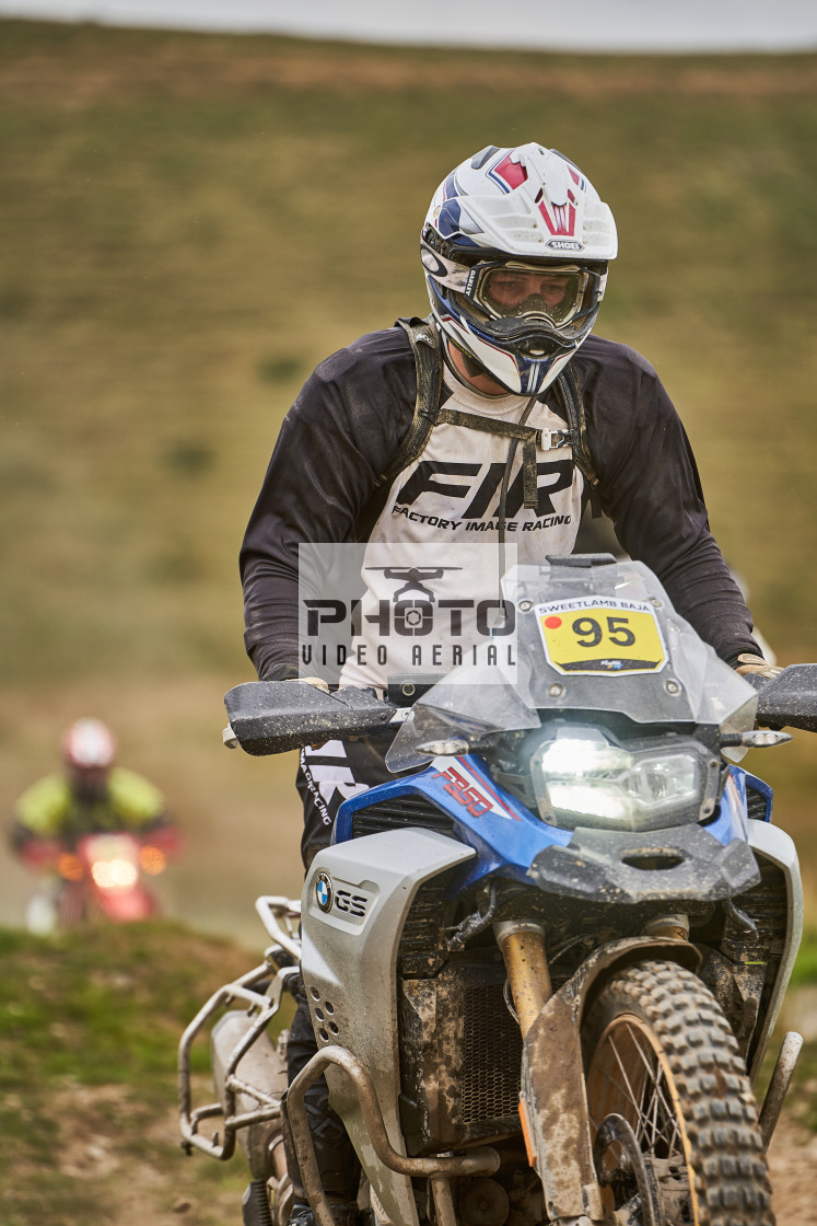 "Sweetlamb Baja rd3 sat" stock image