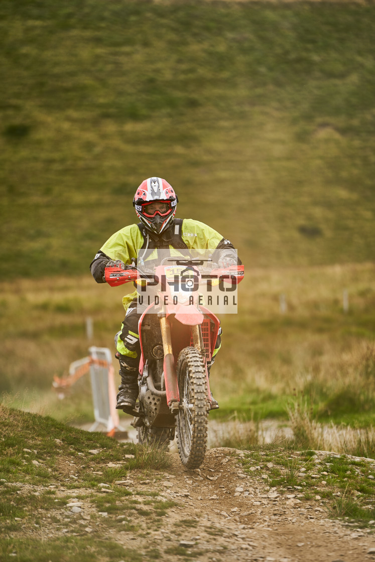 "Sweetlamb Baja rd3 sat" stock image