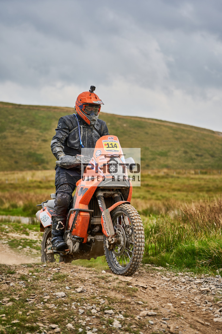 "Sweetlamb Baja rd3 sat" stock image