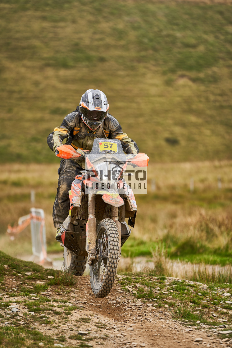 "Sweetlamb Baja rd3 sat" stock image