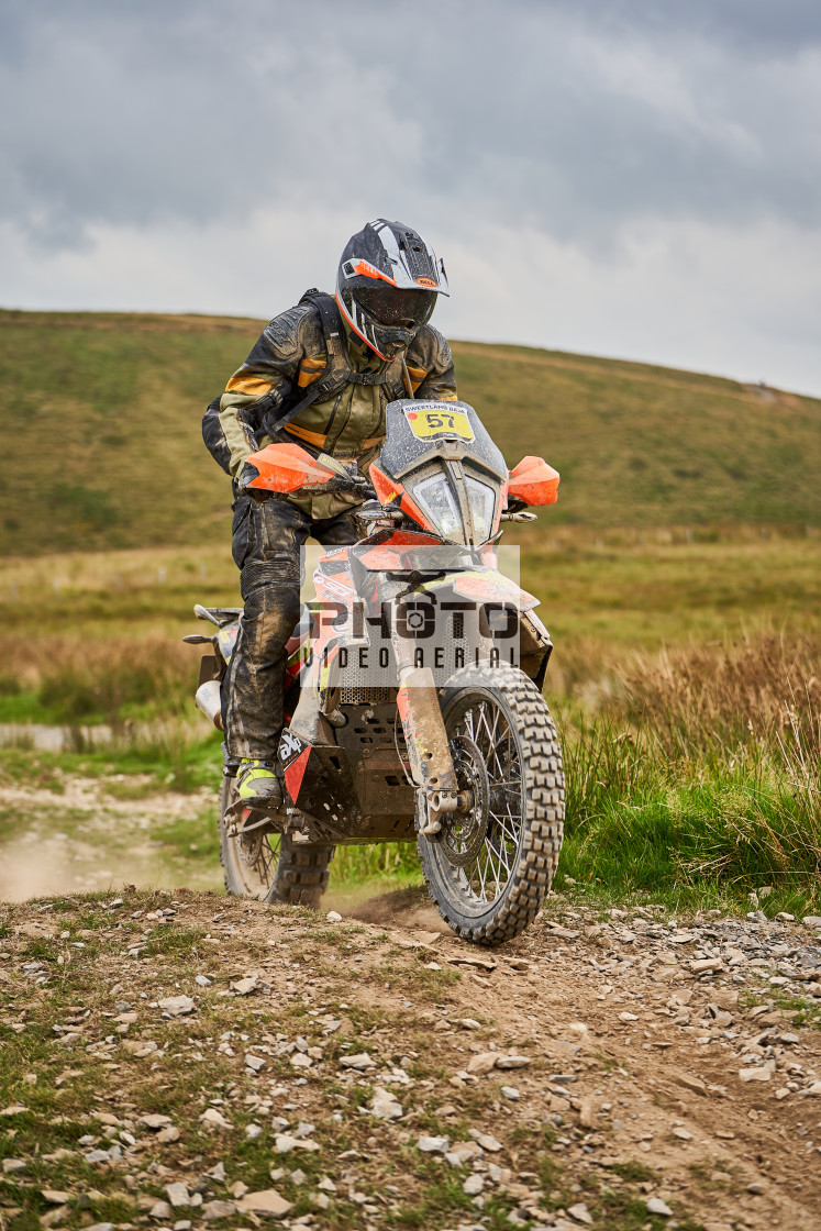 "Sweetlamb Baja rd3 sat" stock image