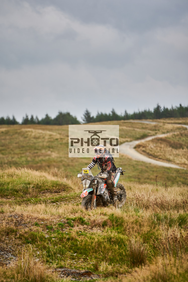 "Sweetlamb Baja rd3 sat" stock image