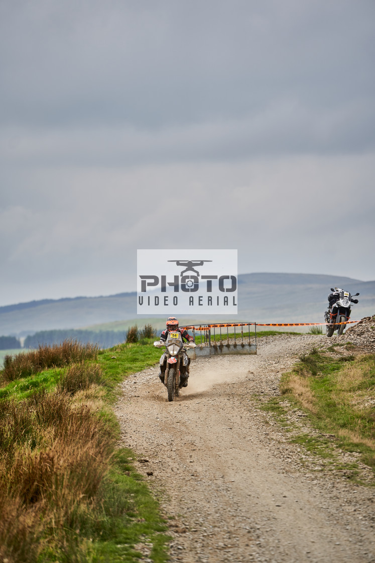 "Sweetlamb Baja rd3 sat" stock image