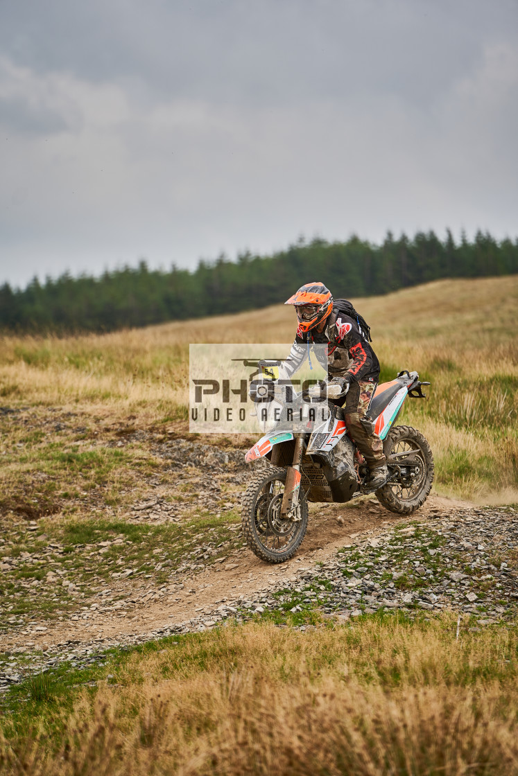 "Sweetlamb Baja rd3 sat" stock image