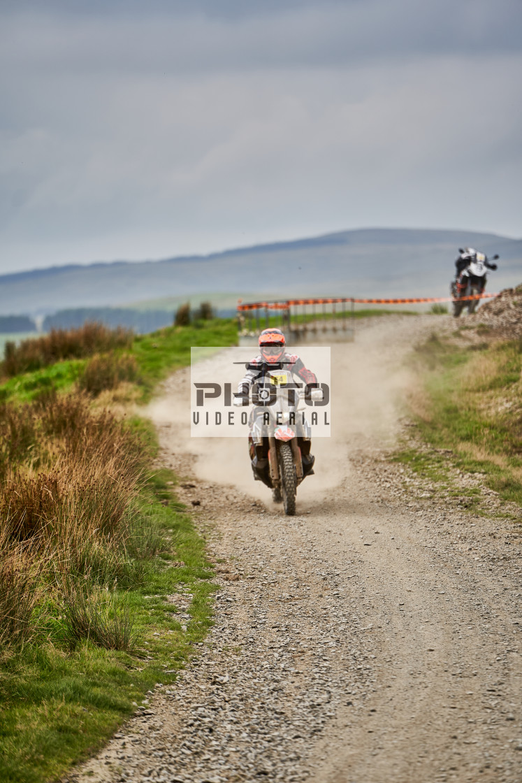 "Sweetlamb Baja rd3 sat" stock image