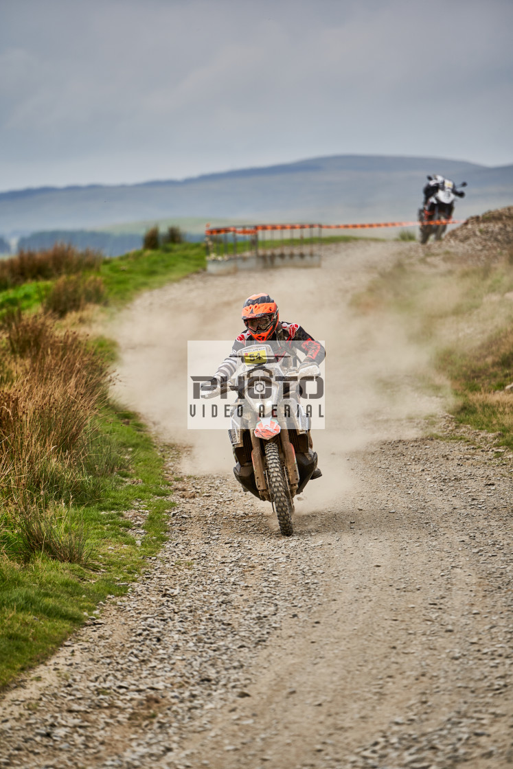 "Sweetlamb Baja rd3 sat" stock image