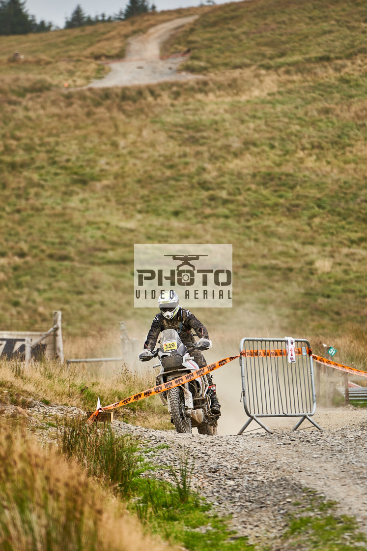 "Sweetlamb Baja rd3 sat" stock image