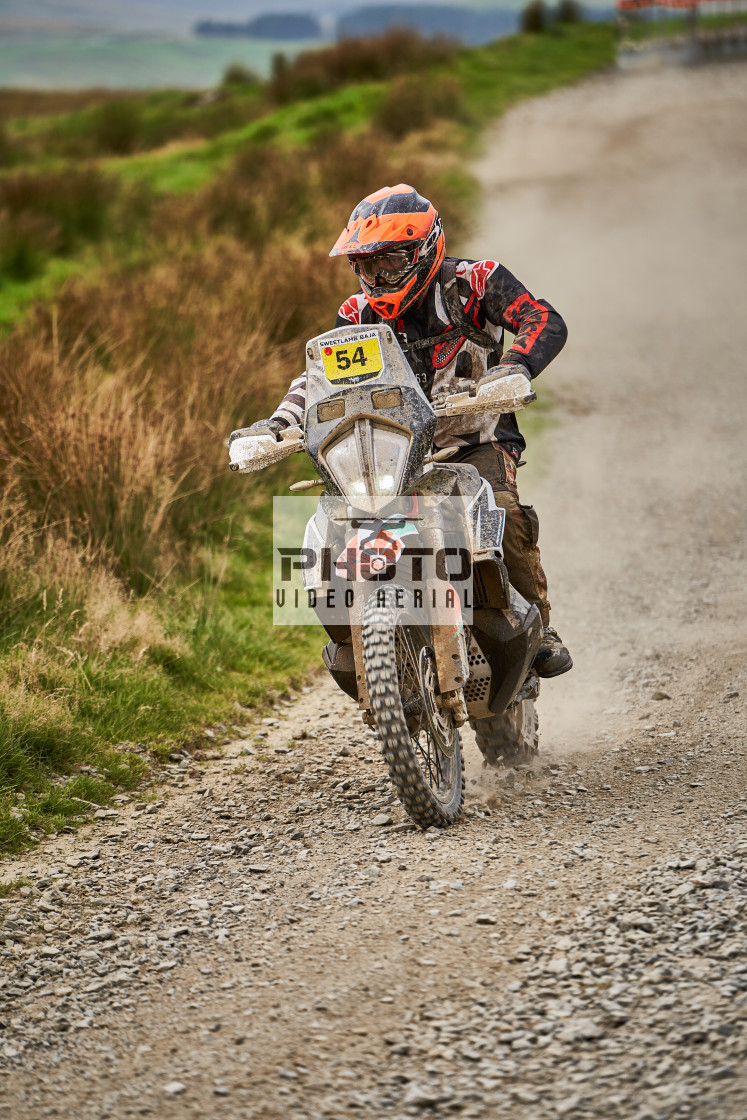 "Sweetlamb Baja rd3 sat" stock image