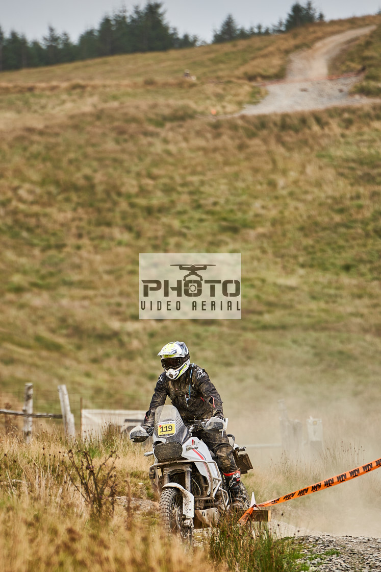 "Sweetlamb Baja rd3 sat" stock image