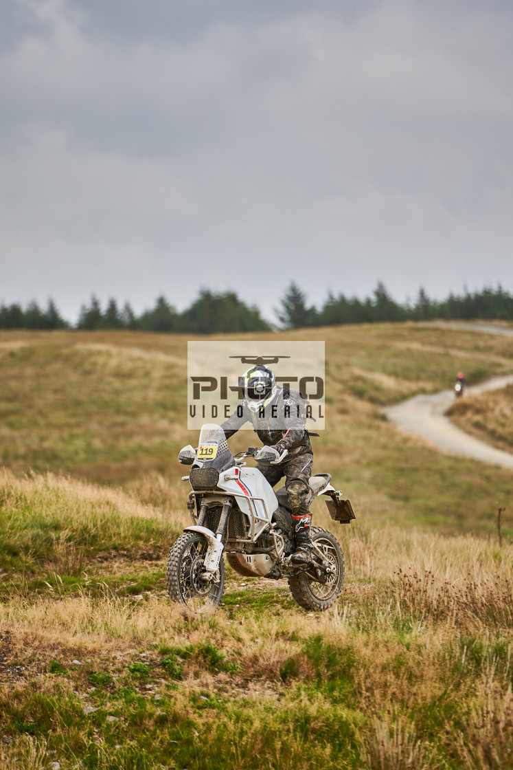 "Sweetlamb Baja rd3 sat" stock image