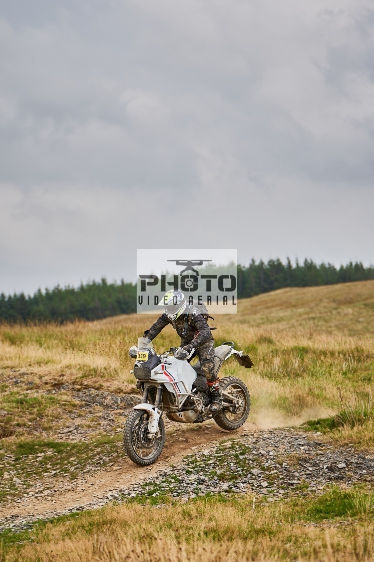 "Sweetlamb Baja rd3 sat" stock image