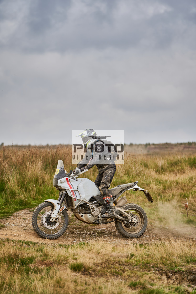 "Sweetlamb Baja rd3 sat" stock image