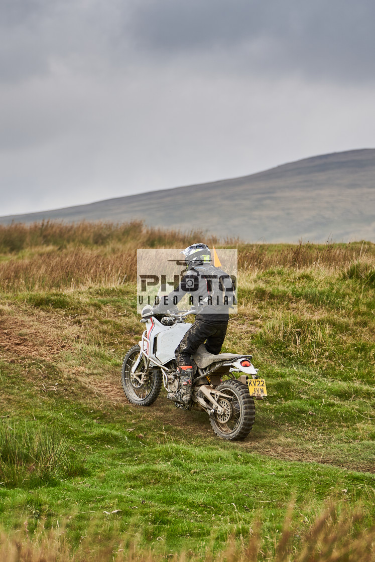 "Sweetlamb Baja rd3 sat" stock image