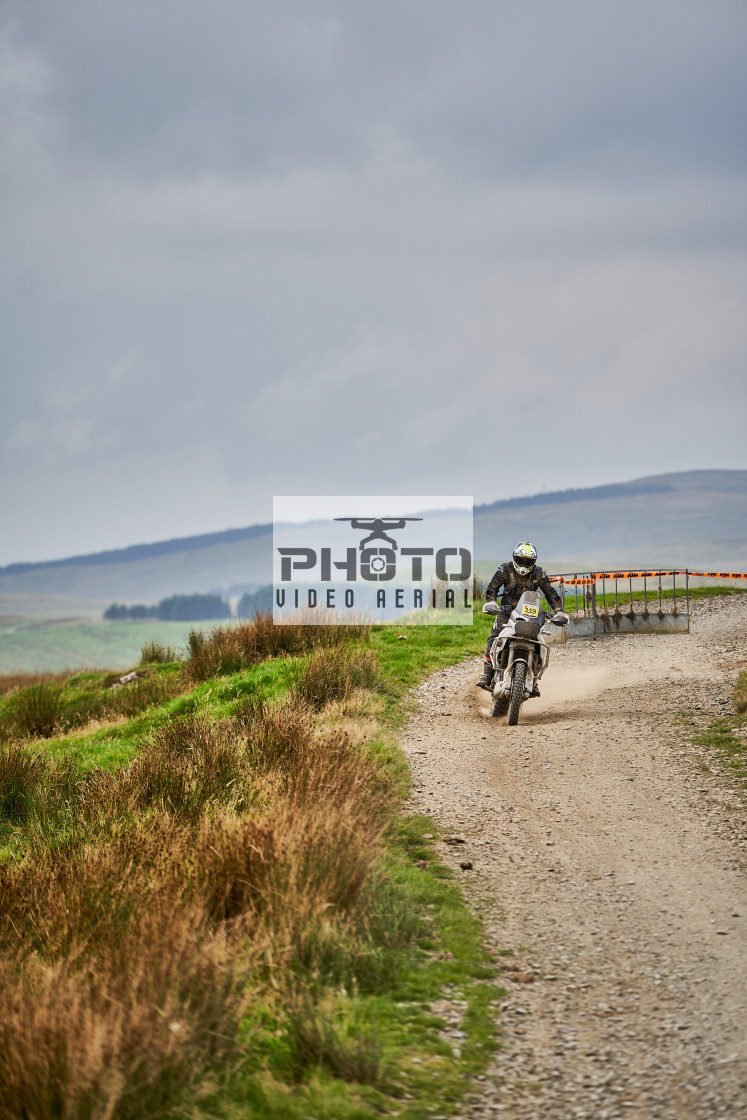 "Sweetlamb Baja rd3 sat" stock image