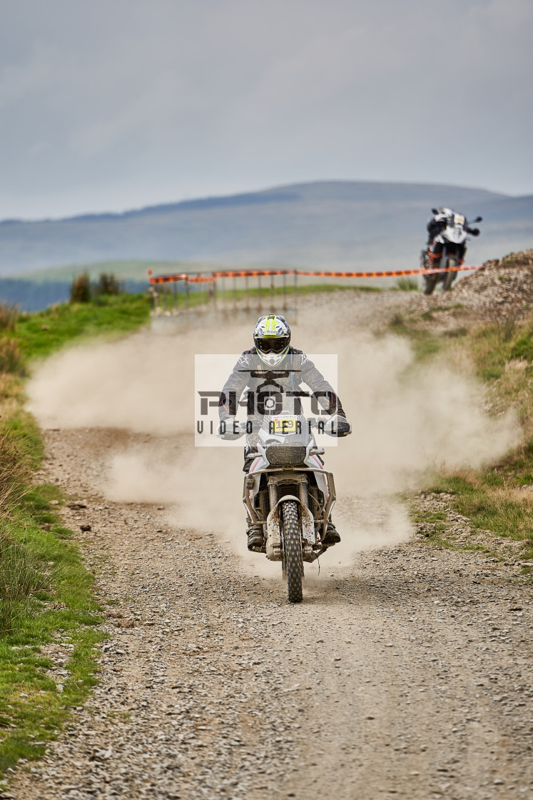 "Sweetlamb Baja rd3 sat" stock image