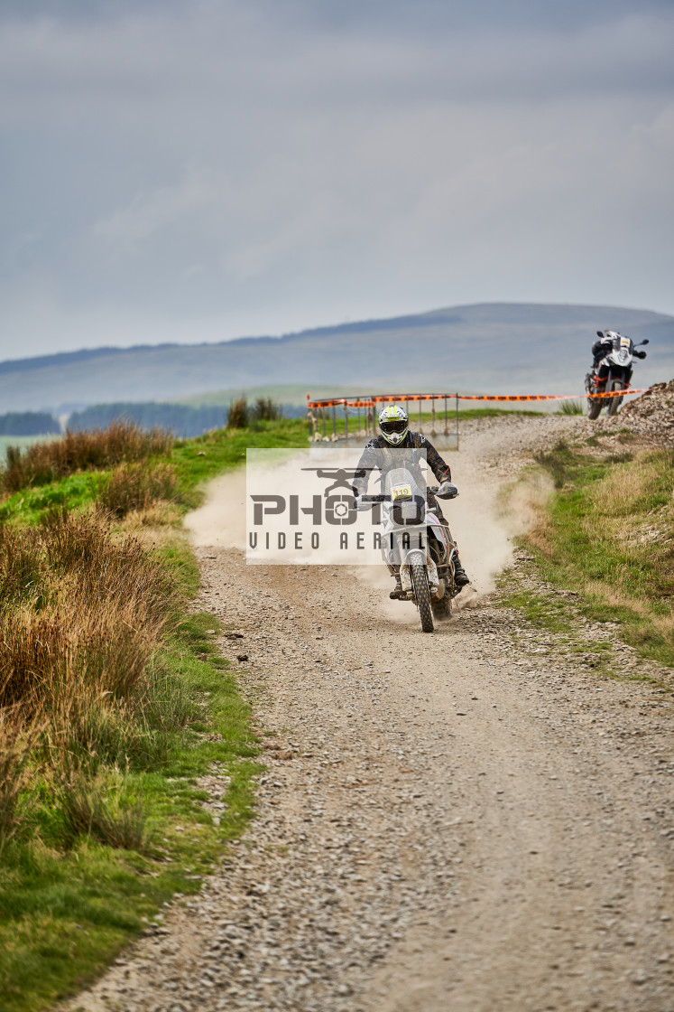 "Sweetlamb Baja rd3 sat" stock image