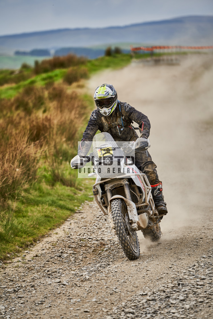 "Sweetlamb Baja rd3 sat" stock image