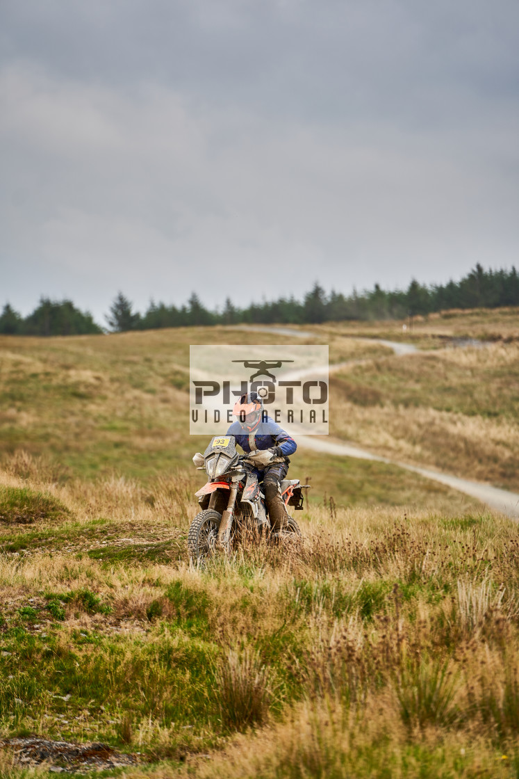 "Sweetlamb Baja rd3 sat" stock image