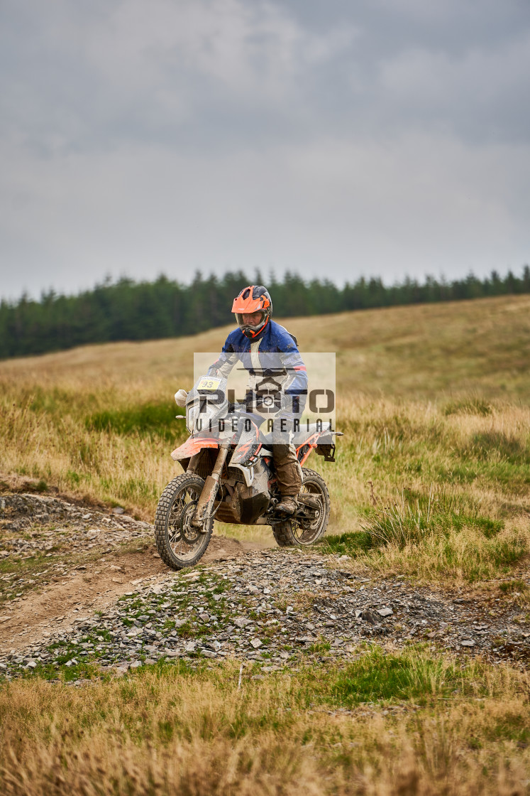 "Sweetlamb Baja rd3 sat" stock image