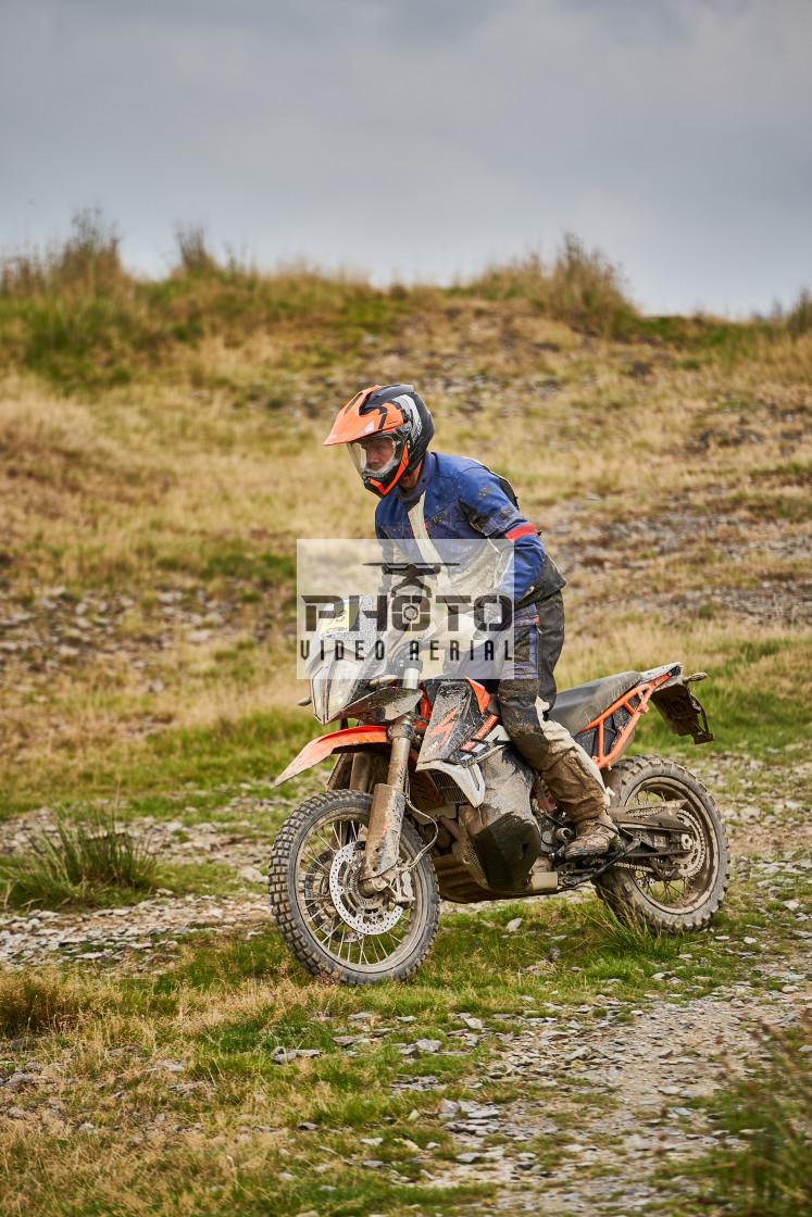 "Sweetlamb Baja rd3 sat" stock image