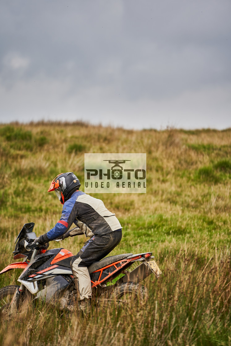 "Sweetlamb Baja rd3 sat" stock image