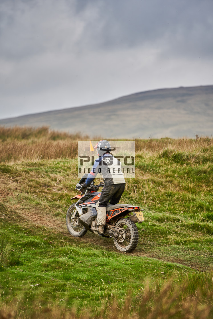 "Sweetlamb Baja rd3 sat" stock image