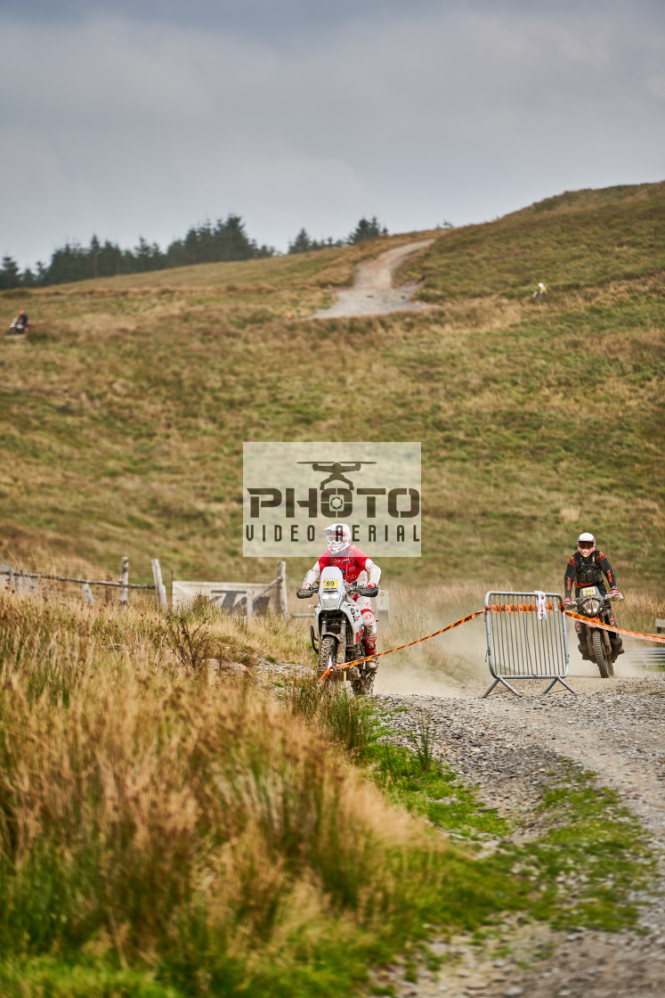 "Sweetlamb Baja rd3 sat" stock image