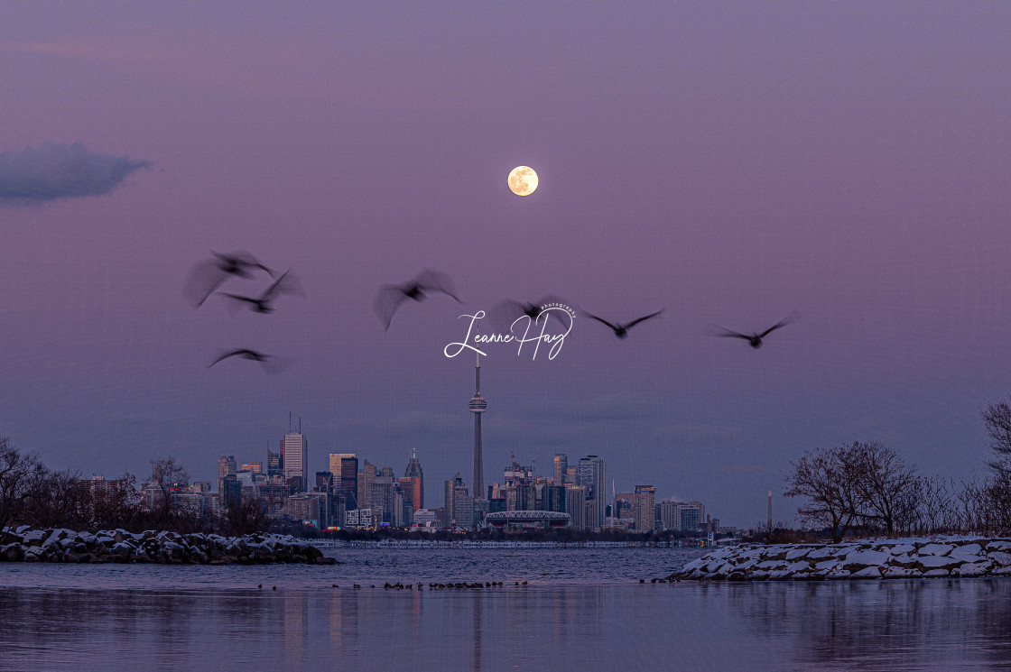 "Full Moon Photo Bomb" stock image