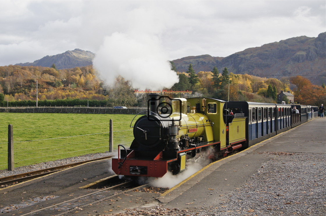 "Northern Rock Narrow Gauge Steam loco, Cumbria" stock image