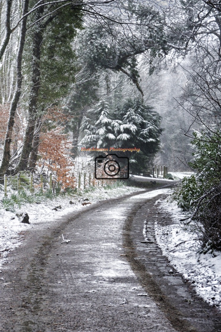 "Winter Snow at Dunragit, Dumfries and Galloway" stock image