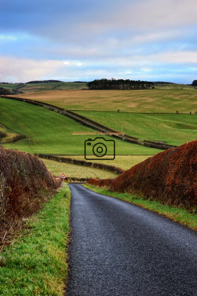 "Country Roads" stock image