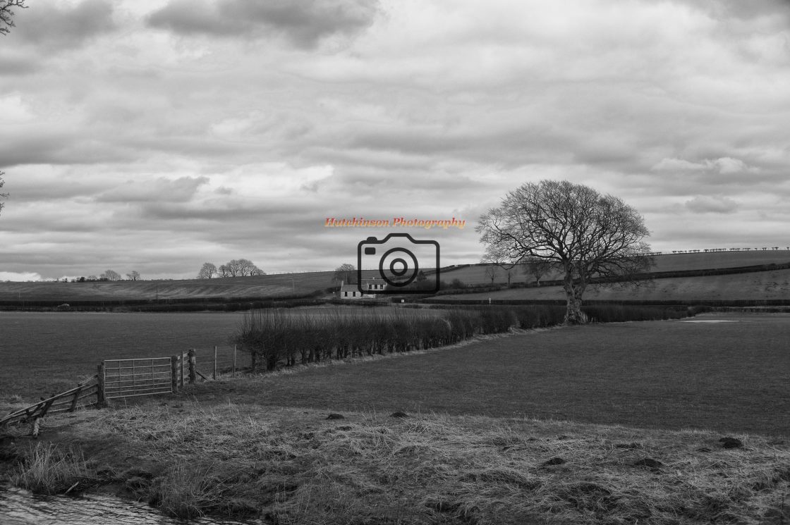 "Ayrshire countryside" stock image