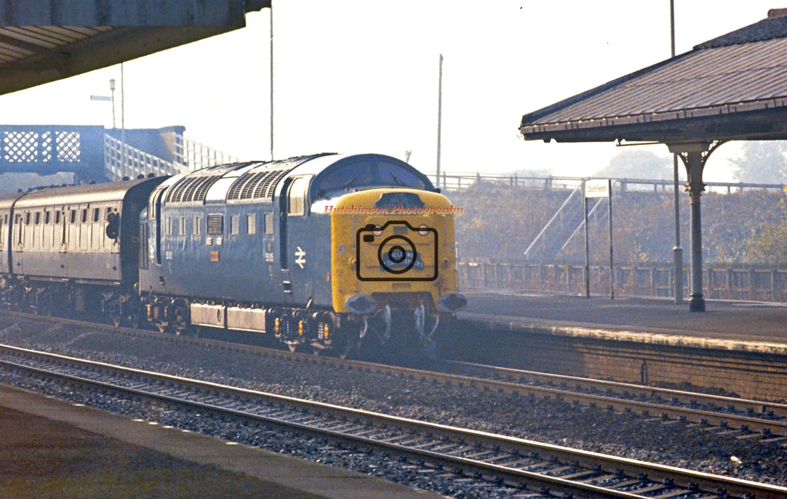 "Deltic Class 55 No 55015" stock image