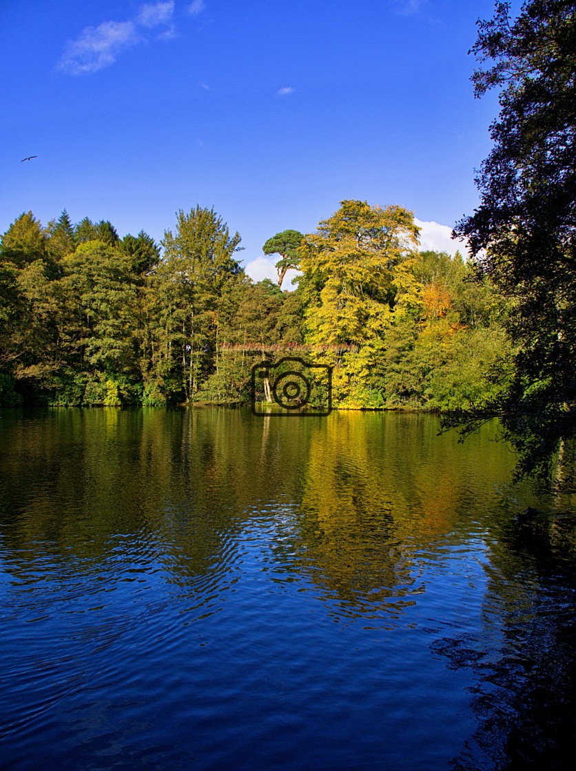 "Autumn Reflections" stock image