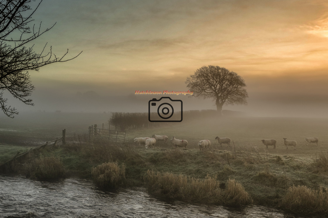 "Autumn misty morning in the Scottish countryside" stock image