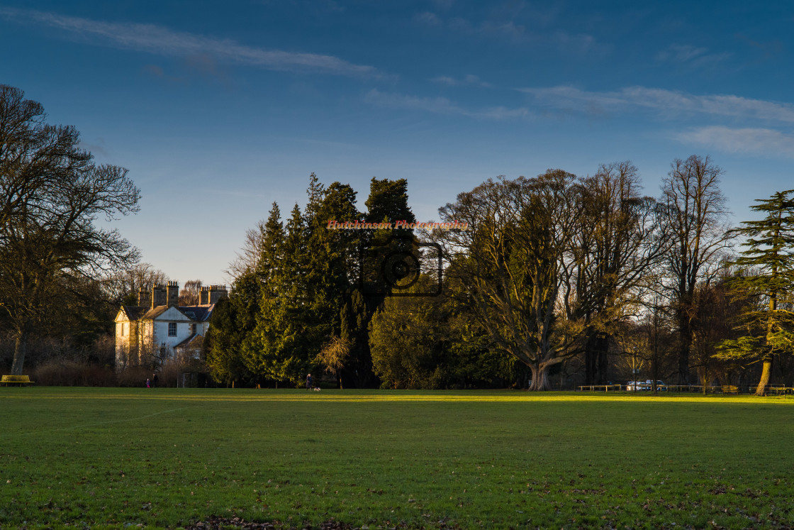 "Winter afternoon light" stock image