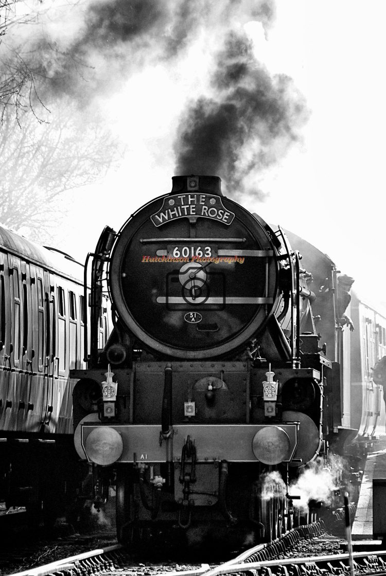 "British Railways A1 class Tornado 60163" stock image