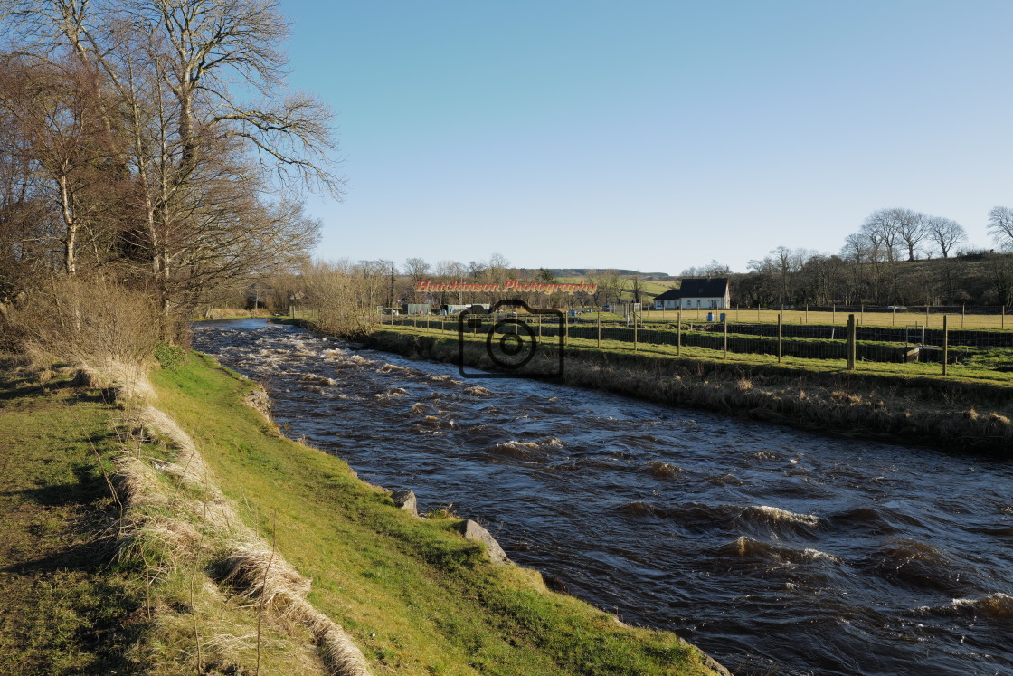 "Banks of the River Doon in afternoon light" stock image