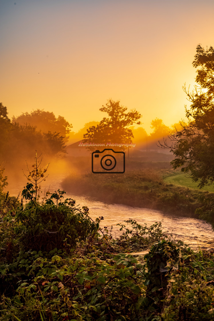 "Morning mist" stock image