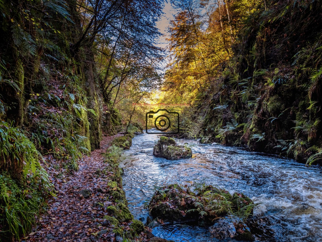 "Ness Glen in autumn" stock image