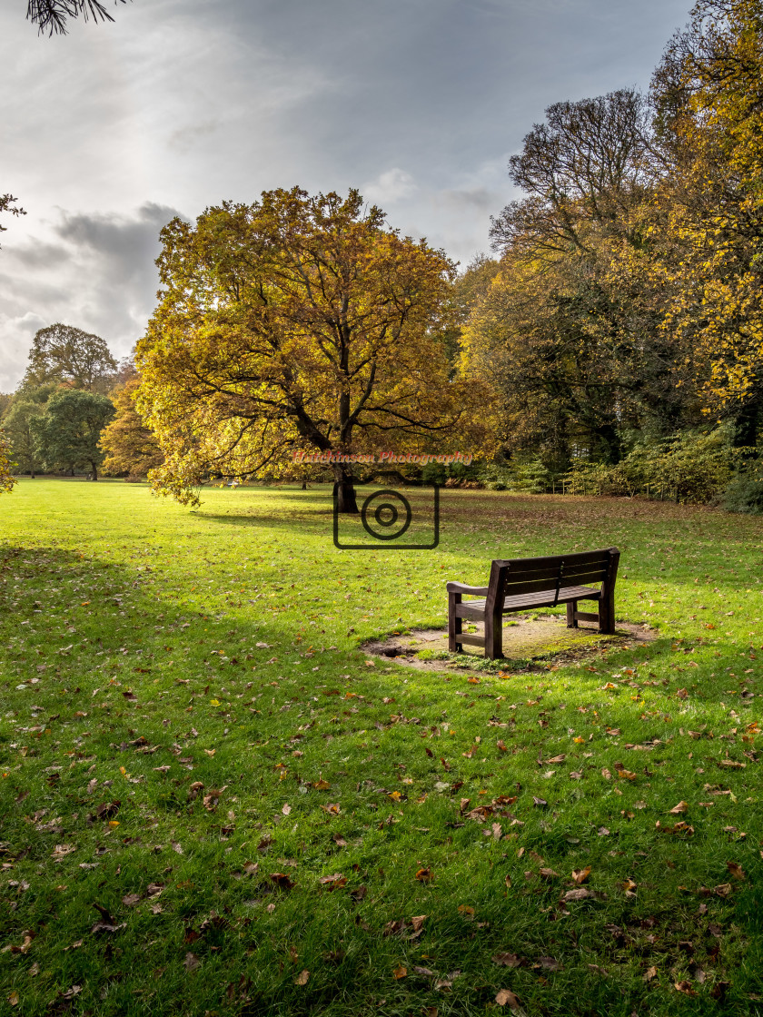 "Park bench in autumn" stock image