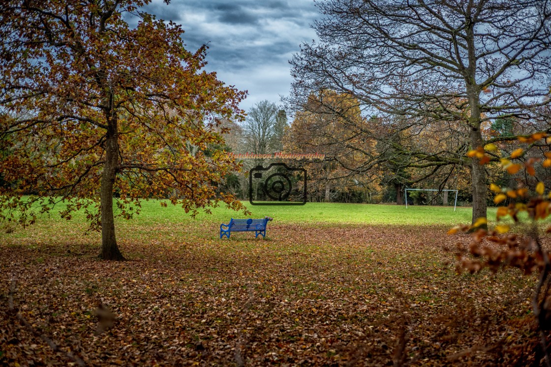 "Blue Bench seat" stock image