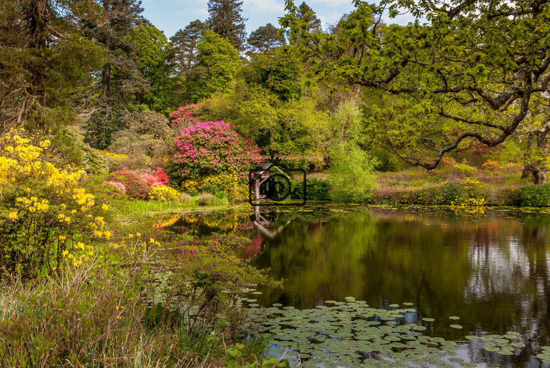 "Boathouse in Springtime" stock image