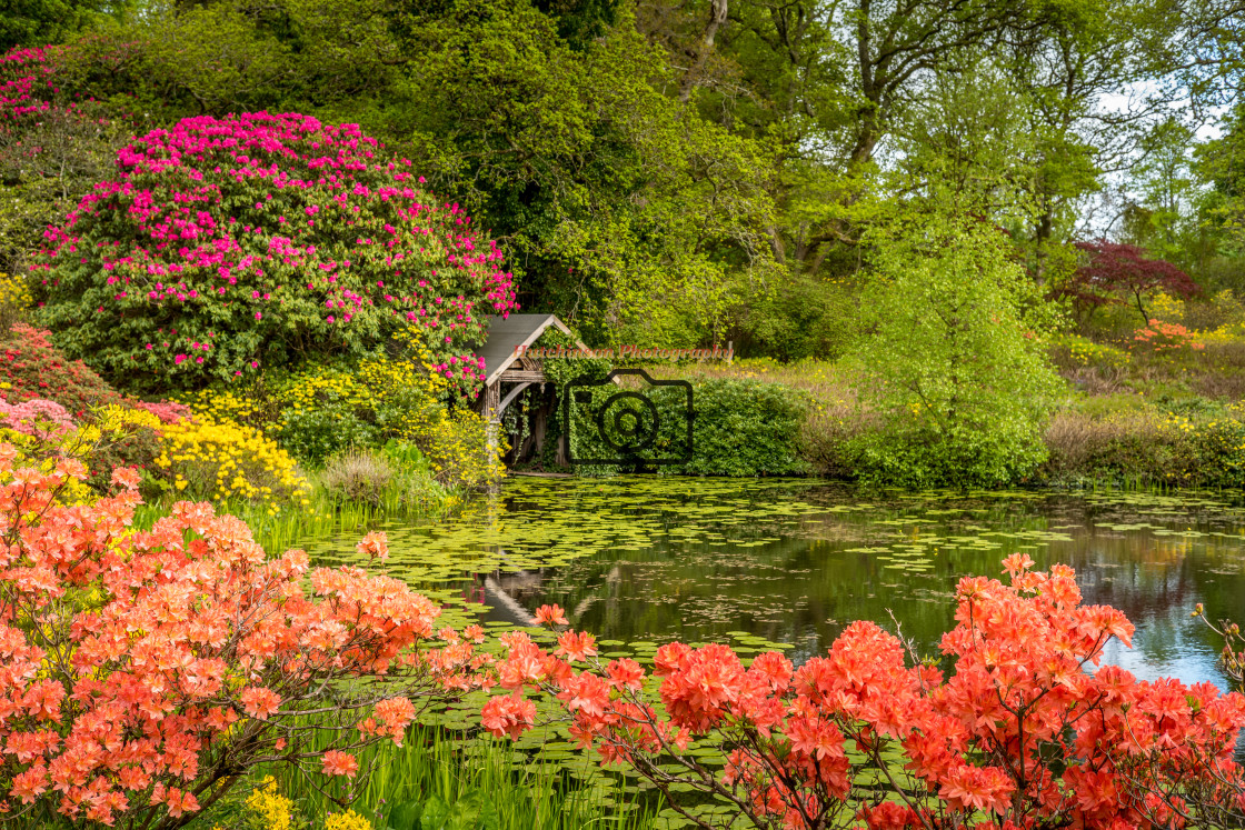 "Gardens in Springtime" stock image