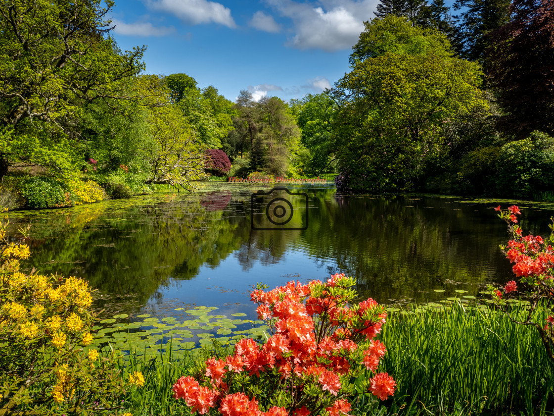 "Bargany Lake" stock image